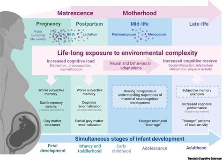 Journey Through Fertility And Motherhood Revealed